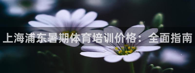 尊龙人生就是博官网登录手机：上海浦东暑期体育培训价格