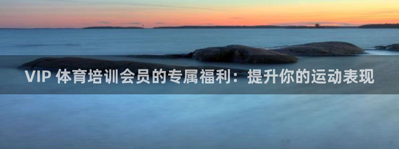 尊龙d88平台登录：VIP 体育培训会员的专属福利：