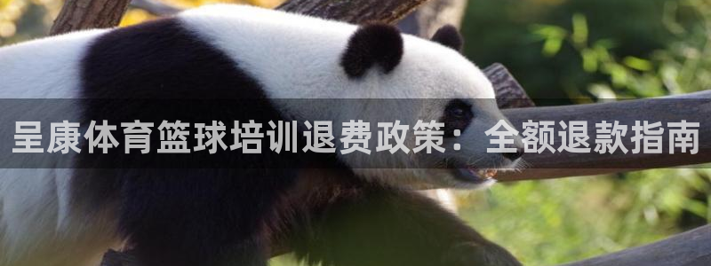 尊龙凯时最新平台登陆：呈康体育篮球培训退费政策：全额