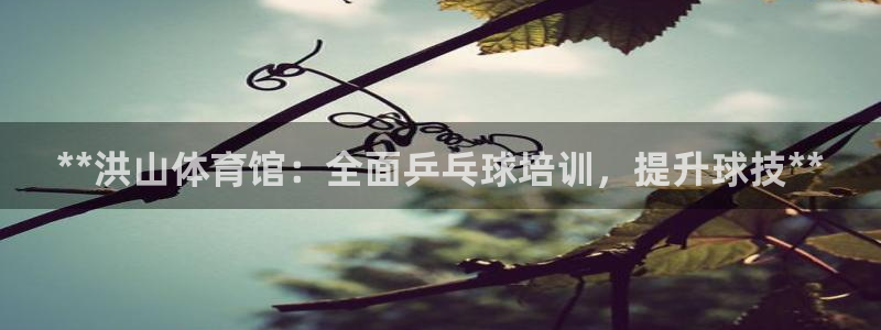 尊龙人生就是博ag旗舰厅：**洪山体育馆：全面乒乓球