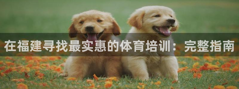 尊龙凯时怎么注册：在福建寻找最实惠的体育培训：完整指