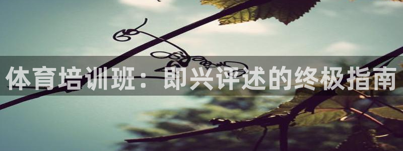 尊龙凯时代理佣金发不发：体育培训班：即兴评述的终极指