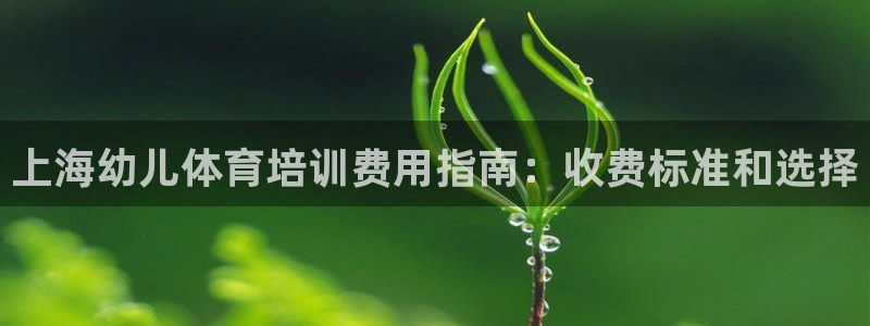 尊龙AG旗舰厅官网：上海幼儿体育培训费用指南：收费标