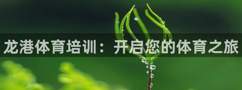 尊龙d88官网登录下载：龙港体育培训：开启您的体育之