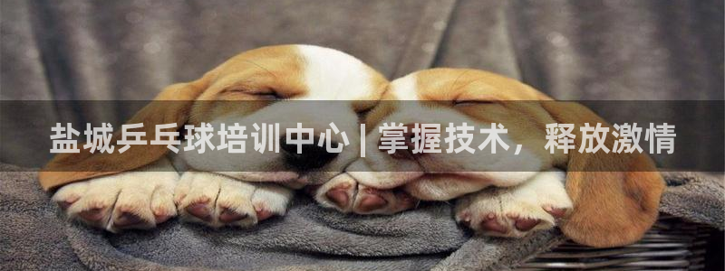 尊龙凯时新闻：盐城乒乓球培训中心 | 掌握技术，释放