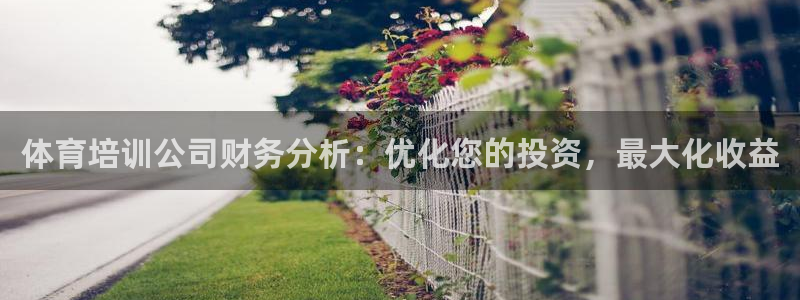 尊龙最经典的三个角色：体育培训公司财务分析：优化您的