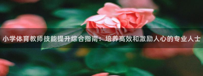 尊龙凯时 人生就是搏!：小学体育教师技能提升综合指南