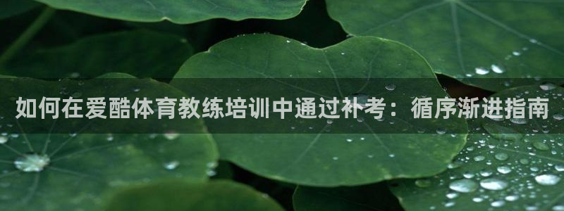 尊龙物流怎么样：如何在爱酷体育教练培训中通过补考：循序渐进指