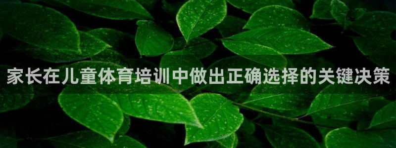 ag尊龙怎么样：家长在儿童体育培训中做出正确选择的关