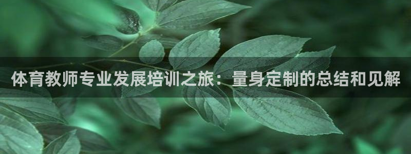 尊龙凯时注册入口：体育教师专业发展培训之旅：量身定制的总结和