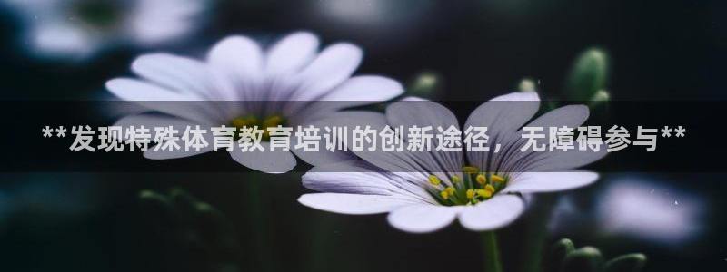 尊龙400：**发现特殊体育教育培训的创新途径，无障