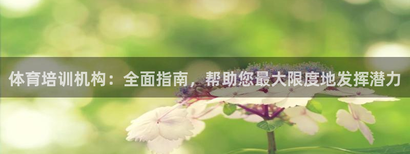 尊龙app认可ag发财网：体育培训机构：全面指南，帮