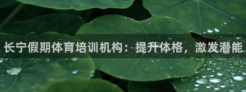 尊龙凯时 - 人生就是搏!：长宁假期体育培训机构：提