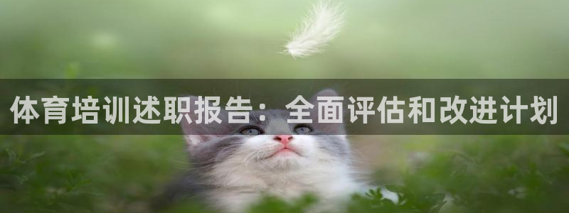 尊龙凯时提款冻卡吗：体育培训述职报告：全面评估和改进