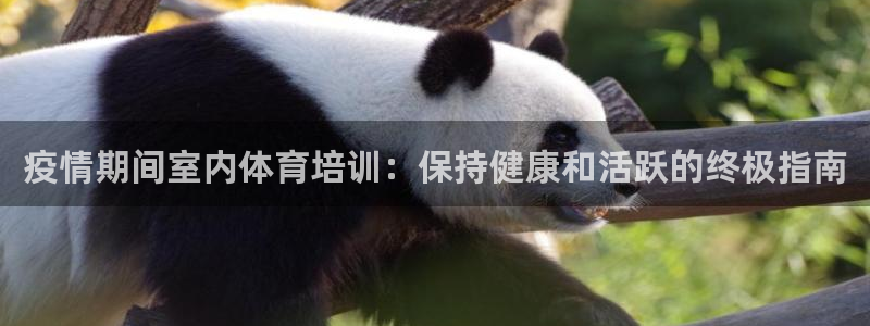 尊龙凯时代理佣金发不发：疫情期间室内体育培训：保持健