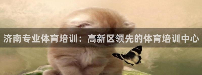 尊龙目前在哪：济南专业体育培训：高新区领先的体育培训