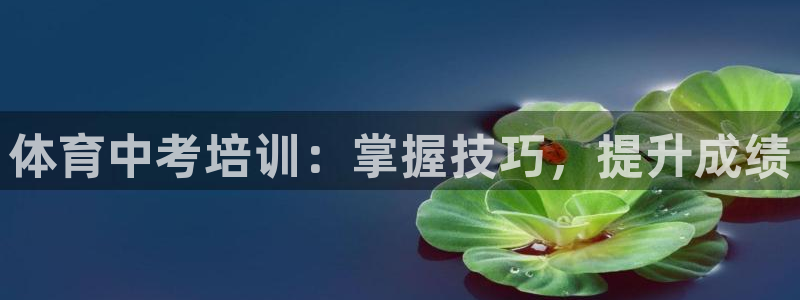 尊龙尊龙：体育中考培训：掌握技巧，提升成绩