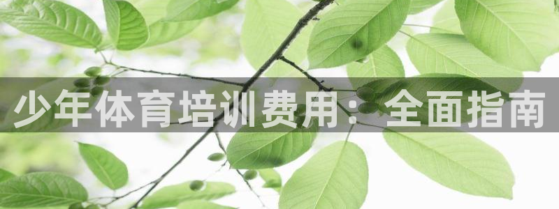 尊龙/人生就是博：少年体育培训费用：全面指南