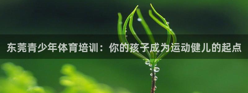 尊龙凯时的生产设备：东莞青少年体育培训：你的孩子成为
