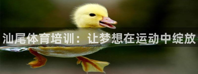 尊龙凯时凯发官网