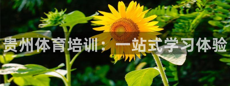 尊龙凯时账号异常审核提不了款怎么办