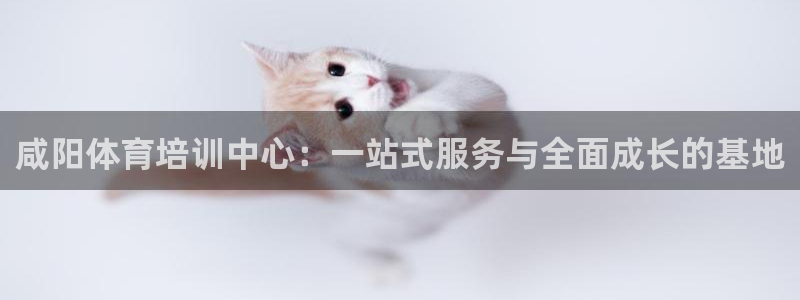 尊龙凯时只输不赢