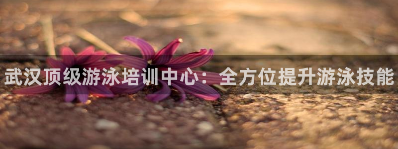 尊龙凯时可以提现吗：武汉顶级游泳培训中心：全方位提升游泳技能