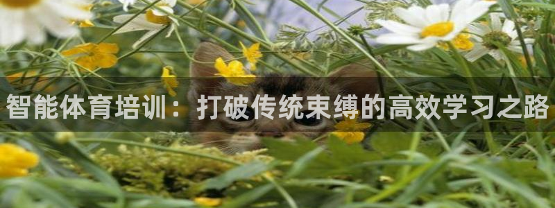 尊龙coming to my own