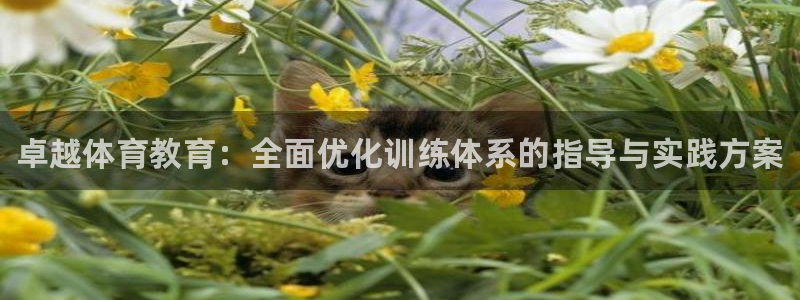 尊龙凯时人生就是搏 品牌专区