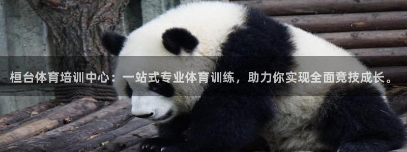 凯时效果怎么样