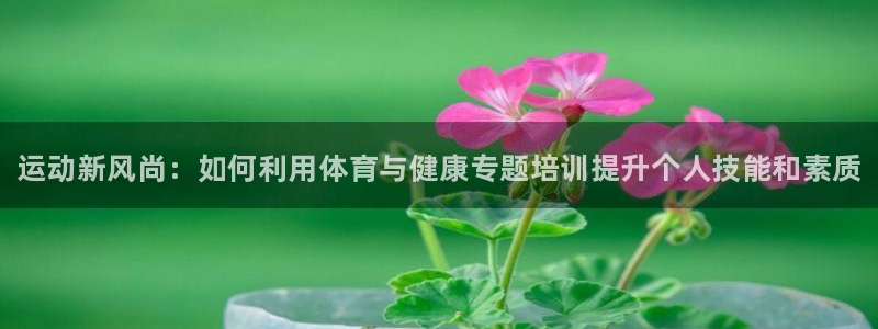 凯时k66官方发布