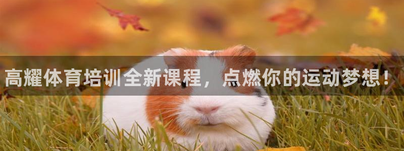 尊龙凯时平台不给出款怎么办：高耀体育培训全新课程，点