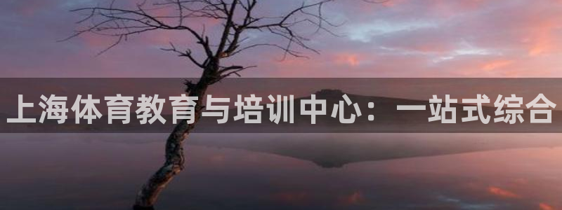 尊龙凯时公司官网：上海体育教育与培训中心：一站式综合