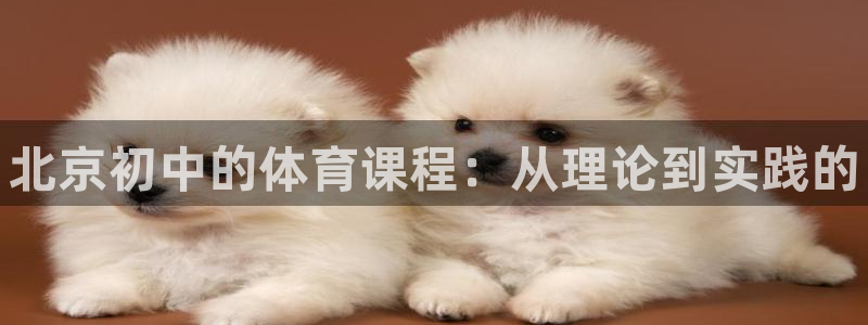 尊龙-人生就是博!：北京初中的体育课程：从理论到实践的