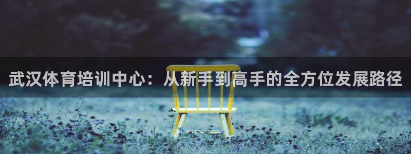 尊龙z6.con：武汉体育培训中心：从新手到高手的全