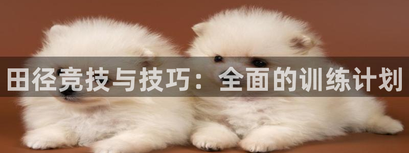 凯时国际官方版：田径竞技与技巧：全面的训练计划