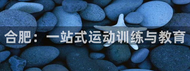 尊龙凯时为什么输了钱：合肥：一站式运动训练与教育