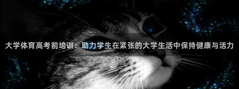 尊龙官网手机版